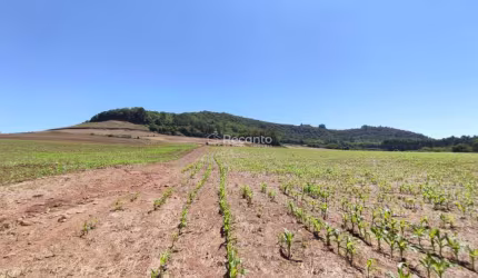 ÁREA COM 02 HECTARES EM GRAMADO, Linha Marcondes A, Gramado - RS