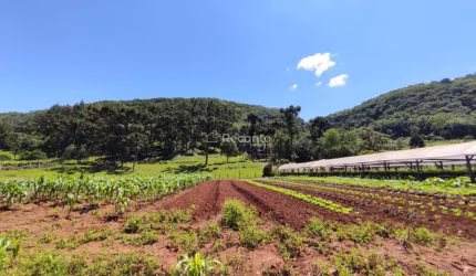 ÁREA DE 32000² A VENDA EM GRAMADO, LINHA AVILA!, Estrada Linha Avila, Gramado - RS