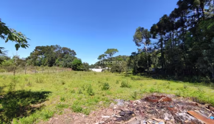 ÁREA NO BAIRRO FLORESTA COM 2.590 M², Floresta, Gramado - RS