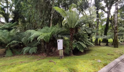 TERRENO A VENDA DE 1.093M² EM CONDOMINIO, GRAMADO, O Bosque, Gramado - RS