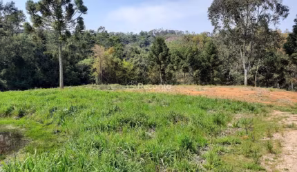 ÁREA COM 3.037,20 M² EM SANTA MARIA DO HERVAL , Alto Padre Eterno , Santa Maria do Herval - RS