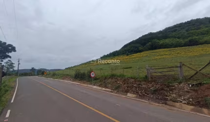 AREA A VENDA 3.885.61 M² EM GRAMADO - RS, Estrada Linha Avila, Gramado - RS