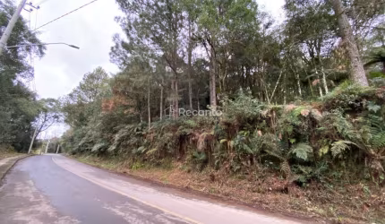 TERRENO DE 600,90M² A VENDA EM CANELA, Vila do Cedro, Canela - RS