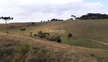 ÁREA DE 34 HECTARES A VENDA EM SÃO FRANCISCO , Sao Francisco de Paula - RS