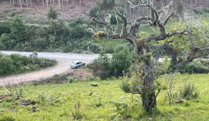 TERRENO A VENDA NO SALTO COM 437,00M² , Eletra, Sao Francisco de Paula - RS