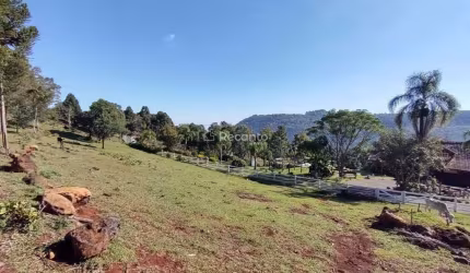 SÍTIO À VENDA 5.25 HECTARES - CARAZAL - GRAMADO, Carazal, Gramado - RS