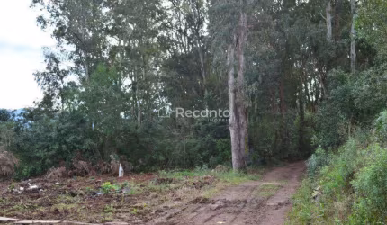 SÍTIO À VENDA, 44 HECTARES EM GRAMADO - RS, Mato Queimado, Gramado - RS
