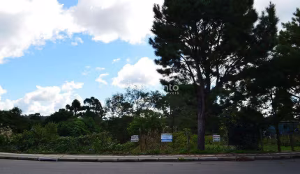 TERRENO À VENDA, 4016 M² POR R$ 2.400.000,00 - VILA  BOEIRA - CANELA/RS, Canelinha, Canela - RS