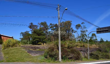 TERRENO À VENDA, 10424 M² POR R$ 36.000.000,00 - AVENIDA CENTRAL - GRAMADO/RS, Centro , Gramado - RS