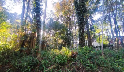 TERRENO À VENDA,  540M² BAIRRO PLANALTO GRAMADO, Planalto, Gramado - RS