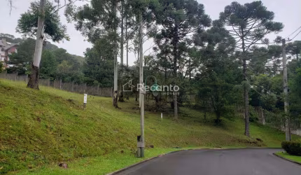 TERRENO À VENDA, 2359 M² - MATO QUEIMADO - GRAMADO/RS, O Bosque, Gramado - RS