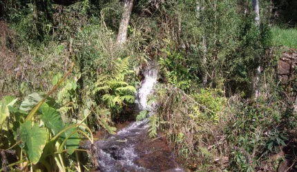 ÁREA À VENDA, 149100 M²- LINHA ARARIPE - GRAMADO/RS, Linha Araripe B, Gramado - RS