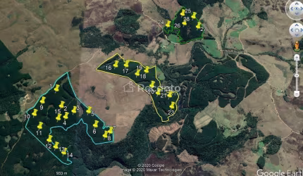 ÁREA À VENDA, 3925899 M²  - ZONA RURAL - SÃO FRANCISCO DE PAULA/RS, Zona Rural, Sao Francisco - RS
