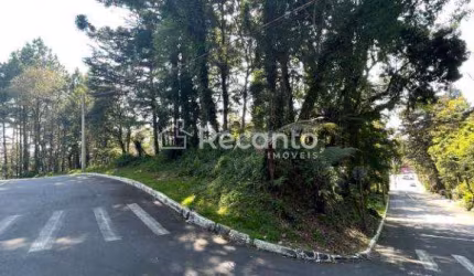 TERRENO À VENDA, 4730 M² - PLANALTO - GRAMADO/RS, Planalto, Gramado - RS