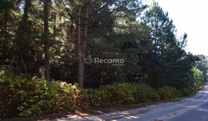 ÁREA À VENDA, 82000 M² - MATO QUEIMADO - GRAMADO/RS, Mato Queimado, Gramado - RS