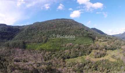ÁREA À VENDA, 450000 M² POR R$ 8.000.000,00 - VÁRZEA GRANDE - GRAMADO/RS, Lagos de Gramado, Gramado - RS