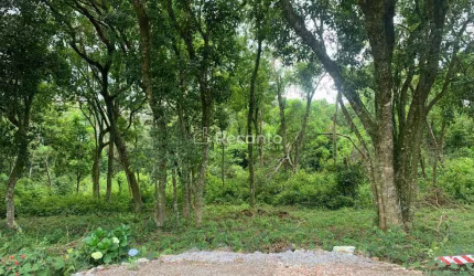 ÁREA À VENDA, 54000 M²  EM GRAMADO, Loteamento Belvedere, Gramado - RS