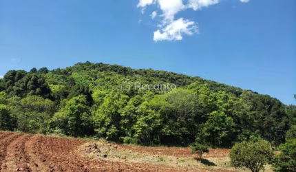 ÁREA À VENDA, 59000 M²  LINHA BONITA - GRAMADO/RS, Linha Bonita Alemã, Gramado - RS