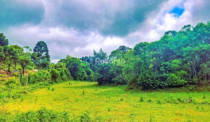 ÁREA À VENDA, 70000 M² - SERRA GRANDE - GRAMADO/RS, Serra Grande Alemã, Gramado - RS