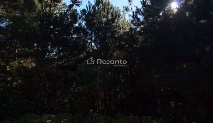 ÁREA À VENDA, 80000 M² - MATO QUEIMADO - GRAMADO/RS, Mato Queimado, Gramado - RS
