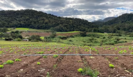 Fazenda / Sitio - Teresópolis - RJ