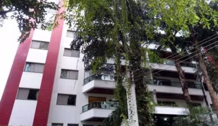 RUA TRANQUILA E ARBORIZADA