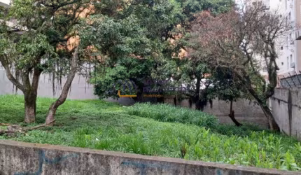 Terreno em área nobre, plano, zona mista