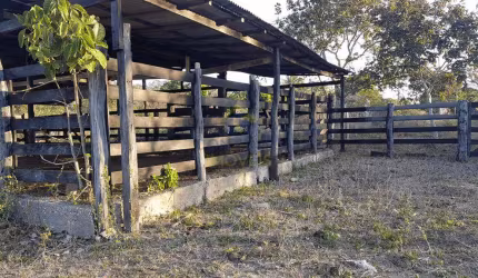 Lindo Sítio na Região do Município de Alto Paraguai 32 Hectares R$800.000,00. codigo: 45915