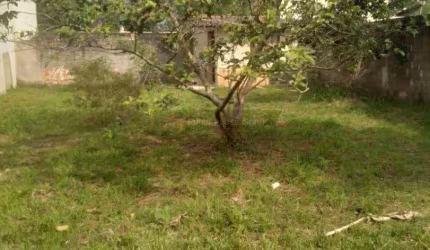 Terreno plano no Maravista, 256m