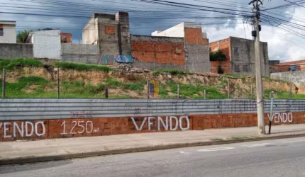 TERRENOS AV DR. ULYSSES GUIMARÃES - PARQUE DAS LARANJEIRAS - TE3216