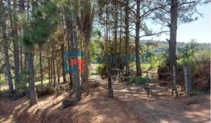 Sitio à venda no Bairro Pitangal em Jarinu - SP