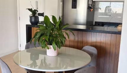 Apartamento Vila Augusta
