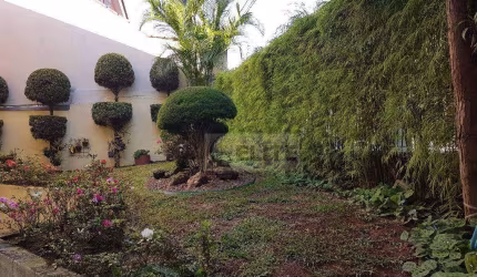Sobrado com 4 dormitórios à venda, 239 m² por R$ 1.200.000,00 - Vila Guiomar - Santo André/SP