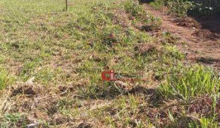 Terreno à venda, 439 m² por R$ 250.000,00 - Estância das Flores - Jaguariúna/SP