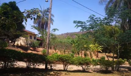 Chácara com 3 dormitórios à venda, 24200 m² por R$ 2.000.000,00 - Floresta - Jaguariúna/SP