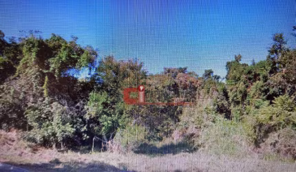Terreno à venda, 2450 m² por R$ 480.000 - Capela Santo Antonio - Jaguariúna/SP