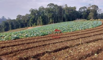 Terreno  Minha Casa, Minha Vida à venda, Jardim São Marcos, Itapevi - TE0006.