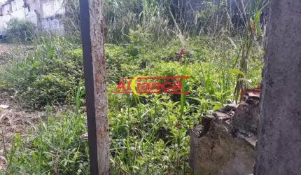 TERRENO totalmente plano, ótimo para construção de um predinho