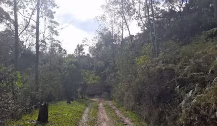 Das Proximidades e Acessos: - Rod. Hélio Smidt - 6.000 metros - Capelinha Guarulhos