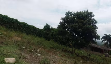 Excelente Oportunidade-Área residencial à venda, Vila Nova Bonsucesso, Guarulhos.