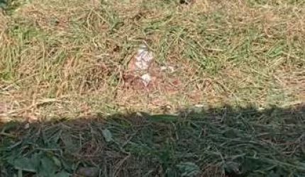 Terreno para Venda em Mogi das Cruzes, Alto Ipiranga