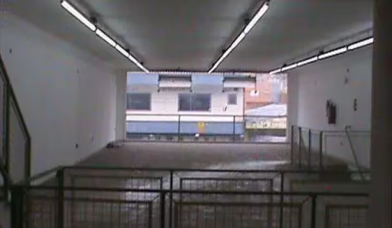 Galpão para alugar, 340 m² por R$ 15.416,67 - Vila Linda - Santo André/SP
