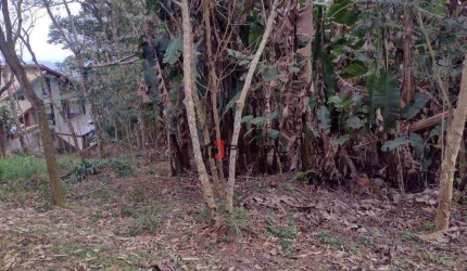 Terreno à venda, 704 m² por R$ 350.000,00 - Granja Viana - Embu das Artes/SP