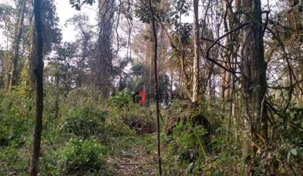 Terreno à venda, 500 m² por R$ 350.000,00 - Granja Viana - Cotia/SP