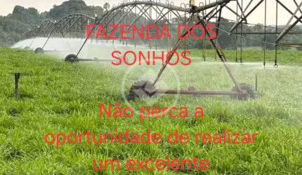 FAZENDA RIBAMAR FIQUENE -MA - 2.234 HA codigo: 90506