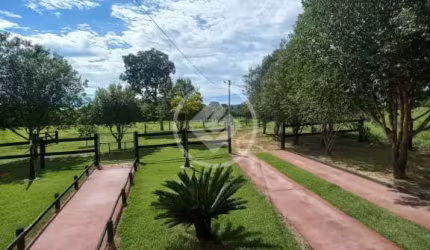 FAZENDA NO MUNICIPIO DE FAINA GO codigo: 114155