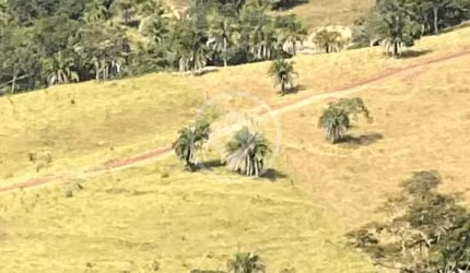 Bairro: Zona Rural Valor: R$ 4.000.000,00 codigo: 46024