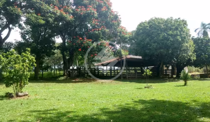 FAZENDA - 7,8 ALQUEIRES  A 300 METROS DA BR 153 codigo: 88147