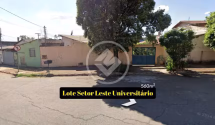 Lote para investimento -  Setor universitário codigo: 106728
