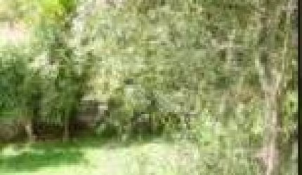 Terreno à venda, 1000 m² por R$ 399.000,00 - Jardim Sol Nascente (Ouro Fino Paulista) - Ribeirão Pires/SP